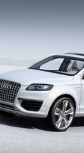 Ladda ner Transport, Auto, Audi bilden 800x480 till mobilen.