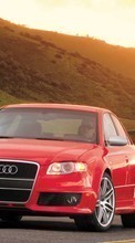 Ladda ner Transport, Auto, Audi bilden 1280x800 till mobilen.