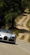Ladda ner Transport, Auto, Roads, Bugatti bilden 320x480 till mobilen.