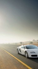 Ladda ner Transport, Auto, Roads, Bugatti bilden till mobilen.