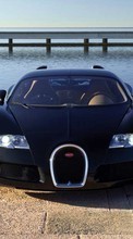 Ladda ner Transport, Auto, Bugatti bilden till mobilen.