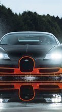 Auto, Bugatti, Transport till Sony Xperia Z1 Compact