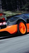 Auto, Bugatti, Transport till BlackBerry Z30