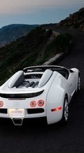 Ladda ner Transport, Auto, Bugatti bilden 320x480 till mobilen.
