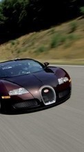 Ladda ner Transport, Auto, Bugatti bilden 360x640 till mobilen.