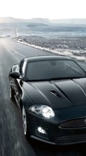 Ladda ner Transport, Auto, Roads, Jaguar bilden 320x480 till mobilen.