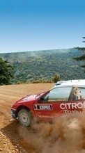 Transport, Auto, Roads, Rally till OnePlus 8
