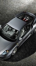 Ladda ner Transport, Auto, Ferrari bilden 240x320 till mobilen.
