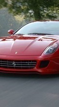 Ladda ner Transport, Auto, Ferrari bilden 240x400 till mobilen.
