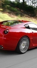Ladda ner Transport, Auto, Ferrari bilden 480x800 till mobilen.