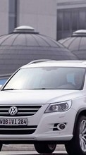 Ladda ner Transport, Auto, Volkswagen bilden 128x160 till mobilen.