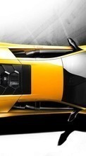 Ladda ner Transport, Auto, Lamborghini bilden 1024x768 till mobilen.