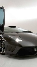 Ladda ner Transport, Auto, Lamborghini bilden till mobilen.
