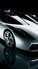 Ladda ner Transport, Auto, Lamborghini bilden 240x400 till mobilen.