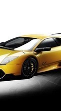 Ladda ner Transport, Auto, Lamborghini bilden 240x320 till mobilen.