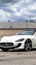 Ladda ner Auto,Maserati,Transport bilden till mobilen.