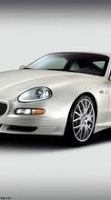 Ladda ner Transport, Auto, Maserati bilden 240x400 till mobilen.