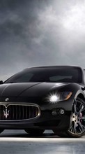 Ladda ner Transport, Auto, Maserati bilden 240x320 till mobilen.