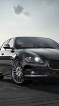 Ladda ner Transport, Auto, Maserati bilden 320x240 till mobilen.