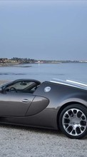 Ladda ner Transport, Auto, Sky, Sea, Bugatti bilden 320x480 till mobilen.