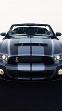 Auto,Mustang,Transport till Apple iPhone XR