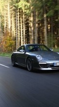 Ladda ner Transport, Auto, Porsche bilden 800x480 till mobilen.