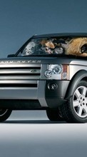 Ladda ner Auto, Range Rover, Transport bilden till mobilen.