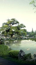 Asia,Trees,Landscape till Samsung D600