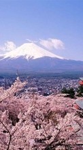 Ladda ner Asia,Mountains,Landscape,Sakura bilden till mobilen.