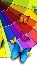 Butterflies, Insects, Rainbow