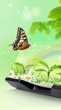 Ladda ner Butterflies, Insects, Drawings bilden till mobilen.
