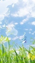 Ladda ner Landscape, Butterflies, Grass, Sky bilden till mobilen.