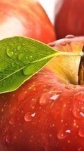 Ladda ner Apples, Food, Background, Fruits, Drops bilden till mobilen.