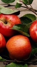 Ladda ner Fruits, Food, Apples bilden 320x480 till mobilen.