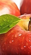 Ladda ner Apples, Food, Fruits, Drops bilden till mobilen.