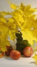 Ladda ner Apples, Food, Leaves, Still life, Objects bilden till mobilen.