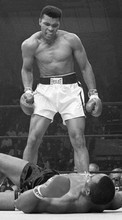 Boxing, People, Men, Sports, Muhammad Ali