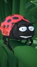 Ladda ner Humor, Insects, Ladybugs bilden till mobilen.