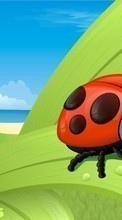 Ladda ner Humor, Ladybugs, Drawings bilden 800x480 till mobilen.