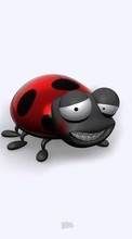 Ladda ner Humor, Ladybugs bilden 240x320 till mobilen.