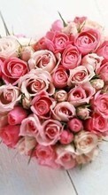 Ladda ner Bouquets, Flowers, Valentine&#039;s day, Holidays, Plants, Roses, Hearts bilden till mobilen.