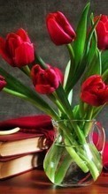 Ladda ner Bouquets, Flowers, Books, Still life, Objects, Plants, Tulips bilden till mobilen.