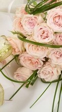 Ladda ner Bouquets, Flowers, Objects, Holidays, Plants, Roses, Wedding bilden till mobilen.