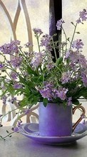 Bouquets, Flowers, Plants till HTC Desire 820