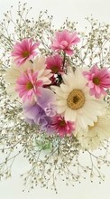 Bouquets,Flowers,Plants till Samsung Galaxy J5