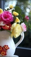 Bouquets,Flowers,Plants till Samsung Galaxy Core 2