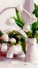 Bouquets,Flowers,Plants till BlackBerry Torch 9860