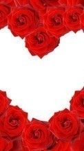 Ladda ner Flowers, Valentine&#039;s day, Background, Holidays, Roses, Hearts bilden till mobilen.