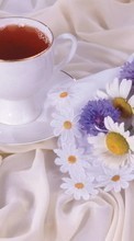 Flowers, Food, Drinks, Objects, Camomile