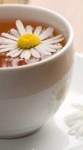 Flowers, Food, Drinks, Camomile till Asus Zenfone 4 A450CG